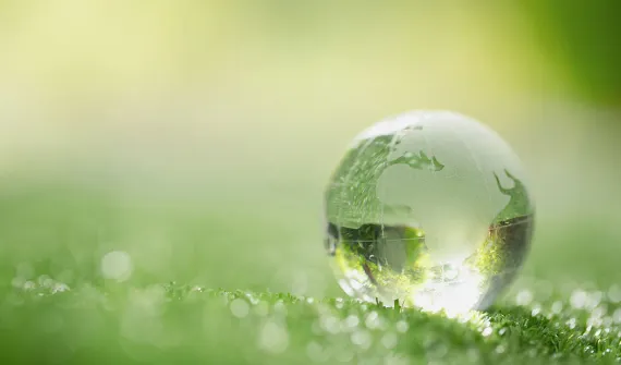 sustainability picture