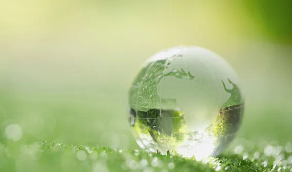 Sustainability picture